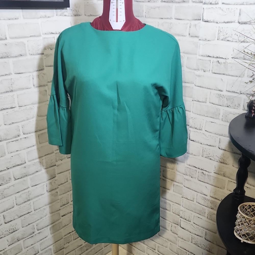Banana Republic SZ 4 Green Ruffled Sleeve Dress